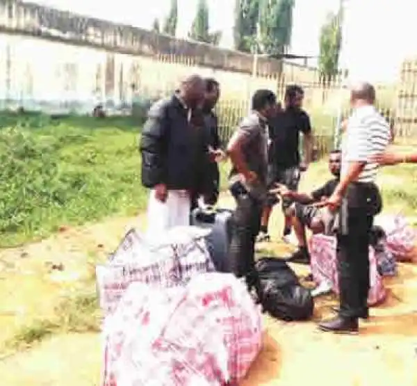 48 Not 500 Nigerians Were Deported From The UK